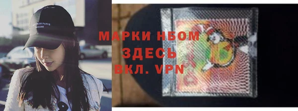 шишки Алексин
