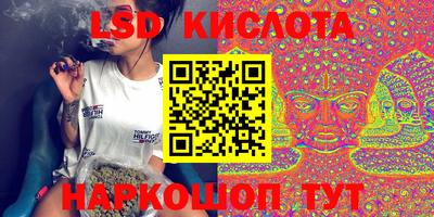 стафф Пенза