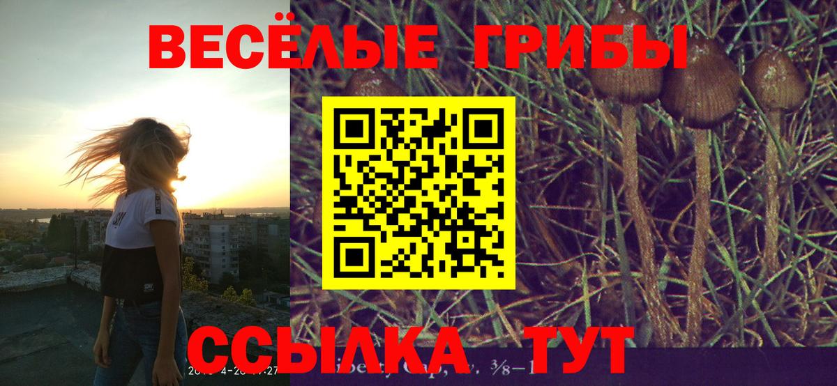 Галлюциногенные грибы Cubensis  Вход с VPN  хочу   Галлюциногенные грибы мицелий  Нягань 